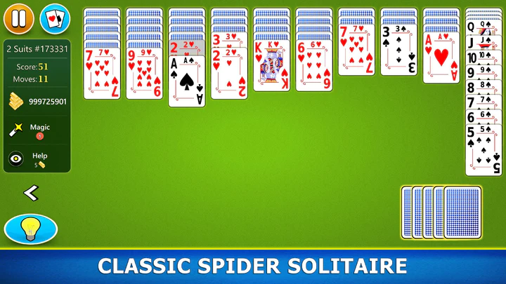 Card Game 2 Suit Spider Solitaire 1.0 Free Download