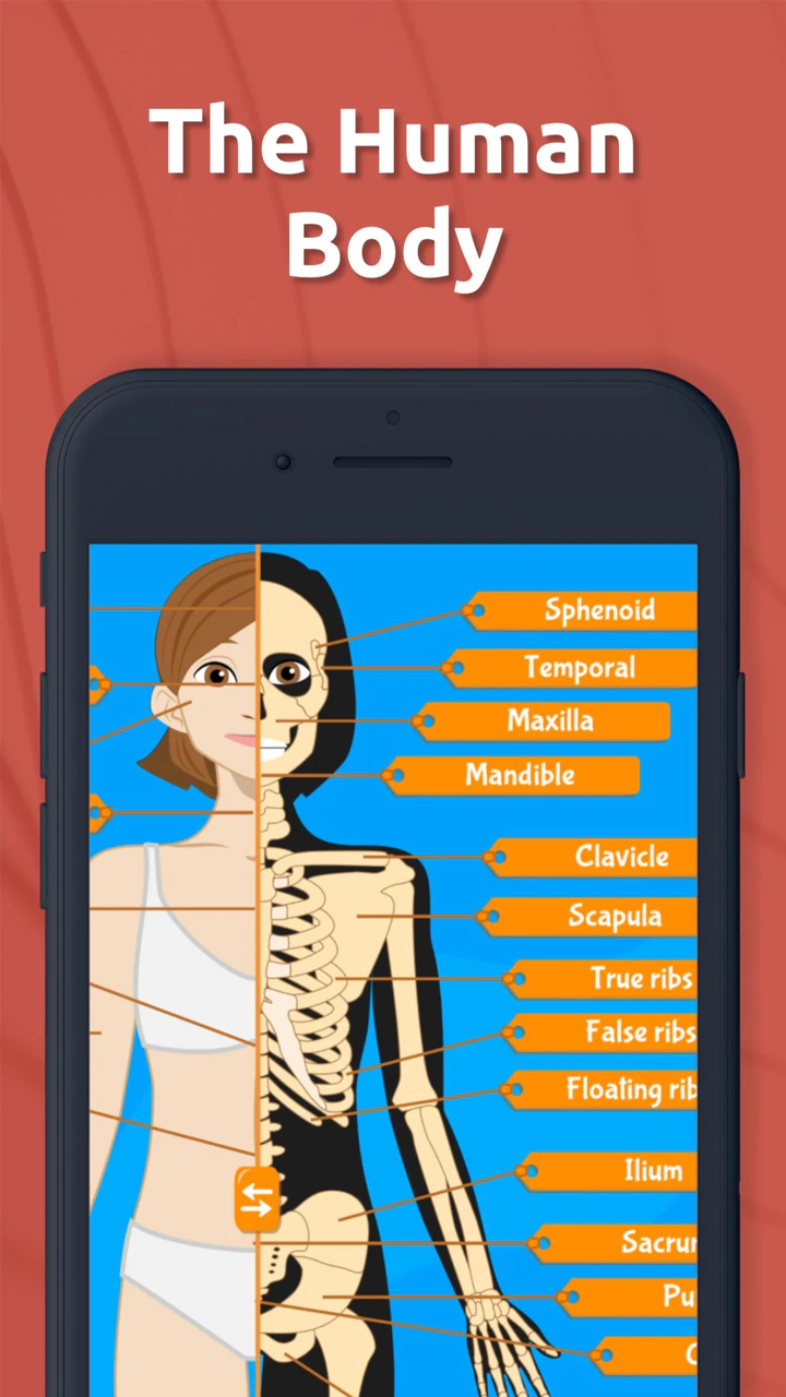 Human Anatomy APK Download for Android Free