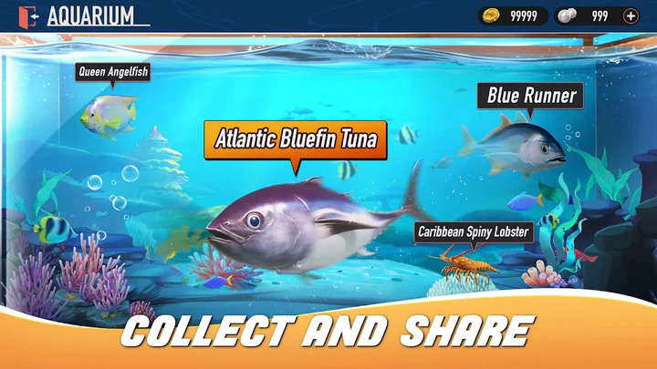 Sharks Online PvP APK for Android Download