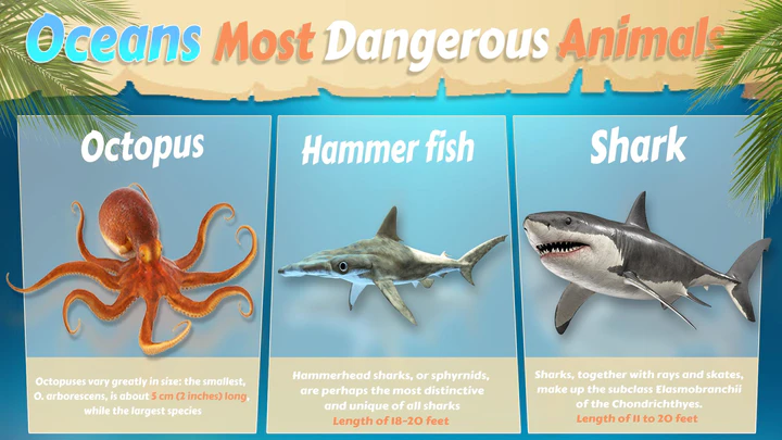 Shark Attack: 3D Hunting Games APK pour Android Télécharger